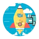 wordpress-website services